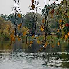 photo "***"