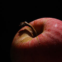 photo "Apple."