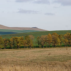 photo "The Caucasian autumn"