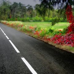photo "Street for autumn land"