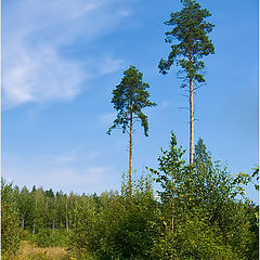 фото "Выжившие"