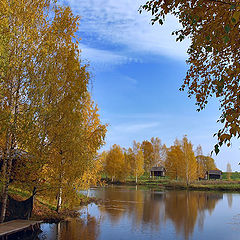 фото "золото осени"