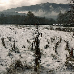 фото "Winter Painting"