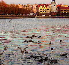 photo "Schlacht bei Fischdorf"