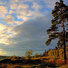 photo "On high coast Airanne"