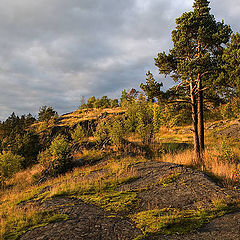 photo "To top Kuhavuori"