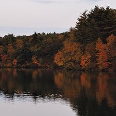 photo "Autumn landscape under the full moon"