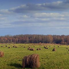 photo "The autumn army"