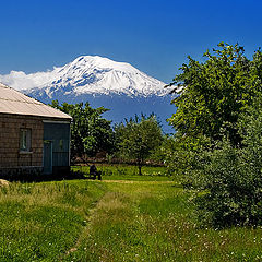 photo "House with Ararat"