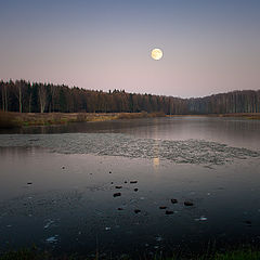 photo "The November evening"