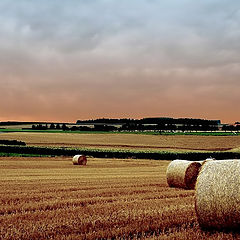 фото "thick straw rolls"