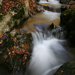 photo "White water"