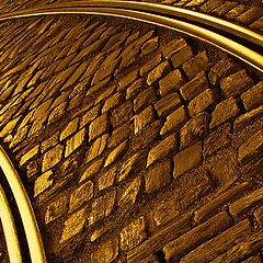 фото "Curves in Gold"