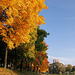 photo "Autumn"