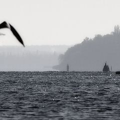 фото "ранним утром"