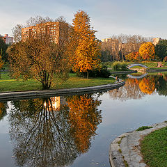 photo "Small bridge"