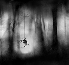 photo "***"