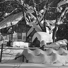 фото "Волны снега"