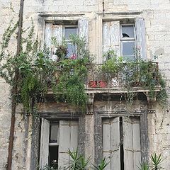 photo "windows in Montpellier"