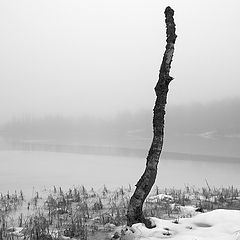 photo "frozen lake II"