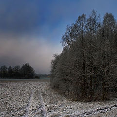 photo "Colors of gloomy day."