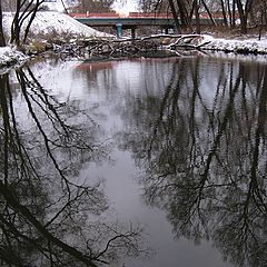 фото "Первый снег (3)"