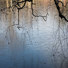 photo "The first ice"