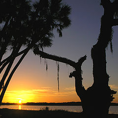 photo "Sunset over Myakka Lake"