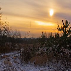 фото "День"