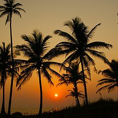 photo "Sunset on Mandrem Beach"