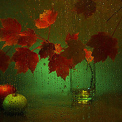 фото "****"