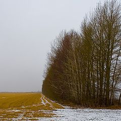 фото "Грань перемен и предчувствий"