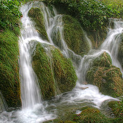 photo "Вода, вода, везде вода"