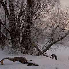 фото "Зимы ждала,ждала природа....."