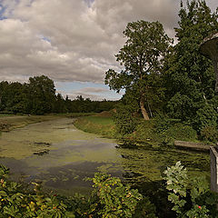 photo "The stone vase. Pavlovsk"