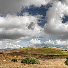 photo "Between heaven and earth"