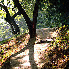 фото "At the Park"