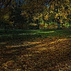 фото "последние лучи"