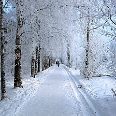 photo "Walking through the Frost"