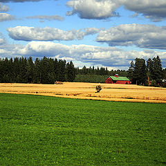 photo "облака, поле, дома"