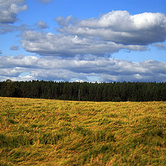 фото "осень"