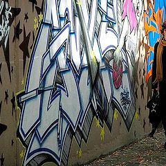 photo "girl and graffiti"