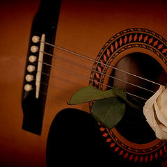 photo "gitara"