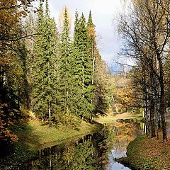 photo "Reflections"