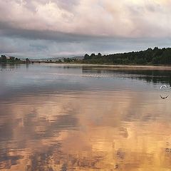 photo "After a rain"