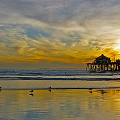 photo "Sunset on the Beach"