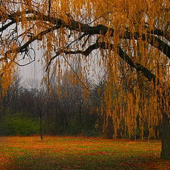 фото "Autumn"