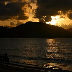 photo "Paradise Walk"