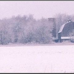 фото "Winter's Arrival"