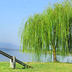 photo "lake Volvi"